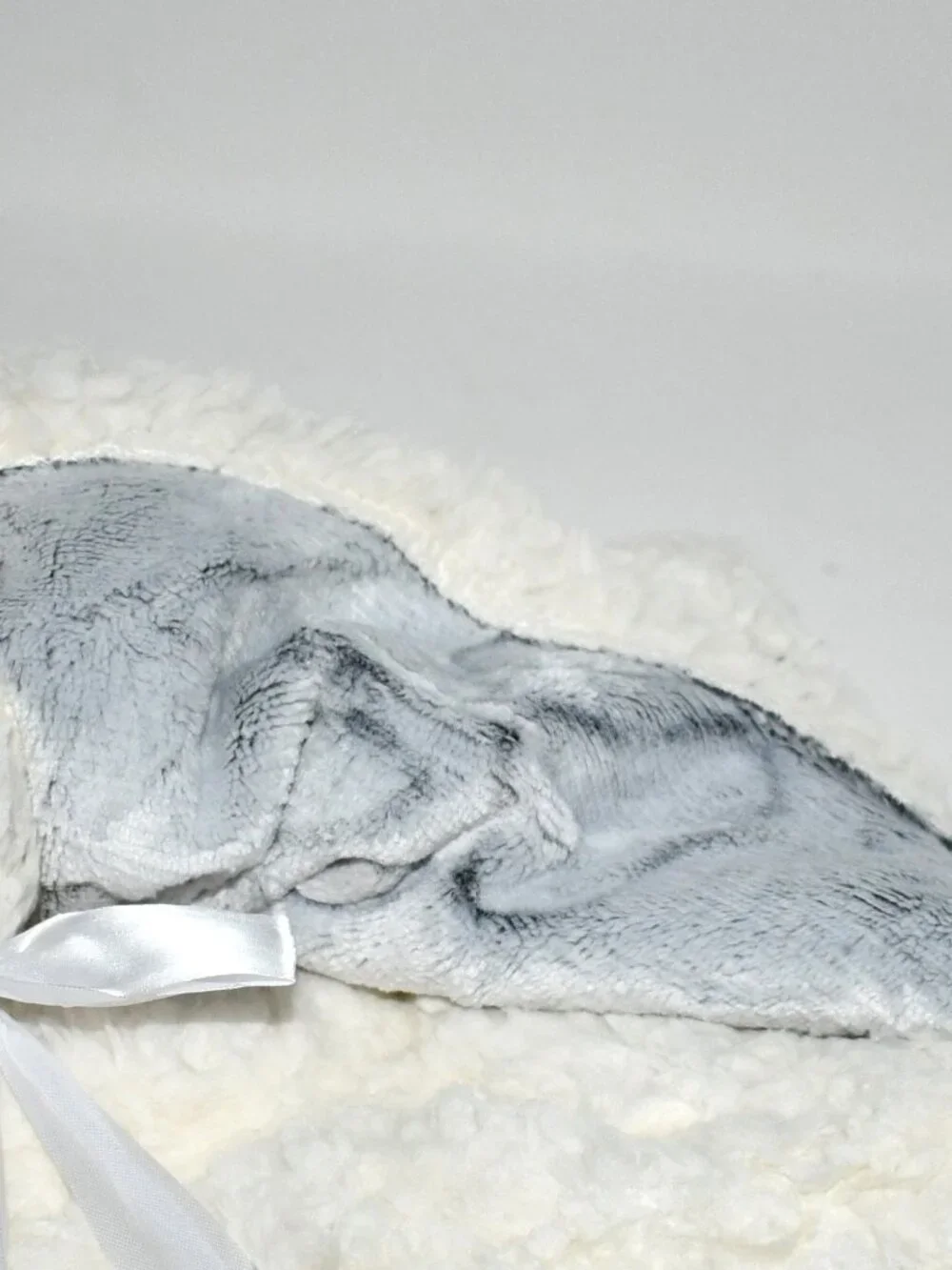 Qeils Dog Blanket for Small Dogs, Waterproof Reversible Sherpa Fleece Puppy Blan
